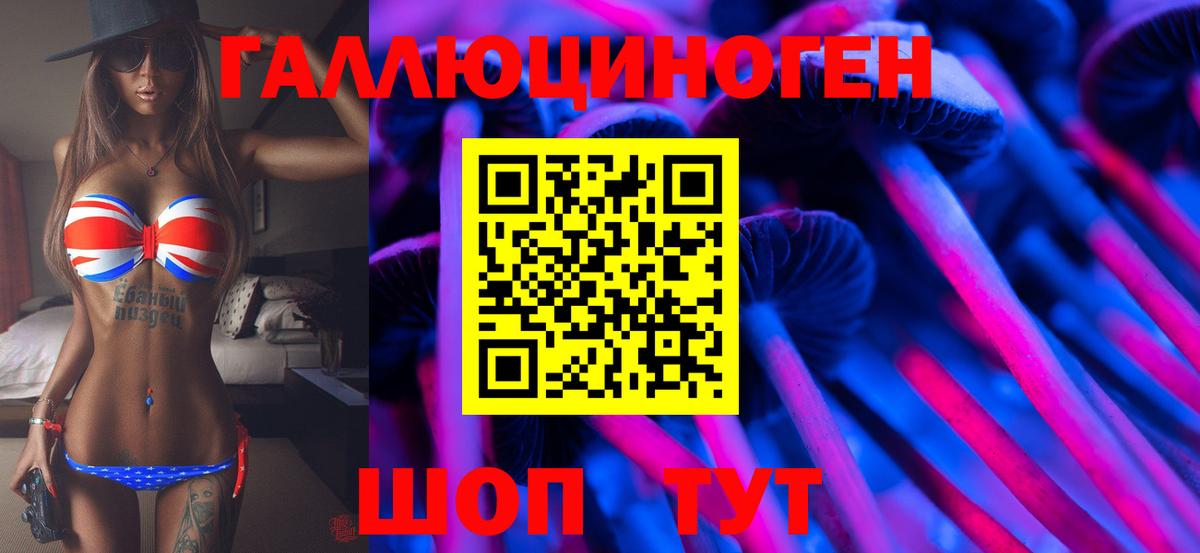 Сунжа  Галлюциногенные грибы Cubensis  Вход с VPN 