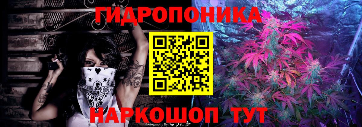 Сунжа  Марихуана SATIVA & INDICA  Шишки марихуана марихуана  Вход с VPN  Бошки марихуана ГИДРОПОН 