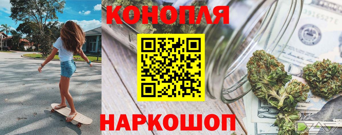 Бошки Шишки тримм Сунжа
